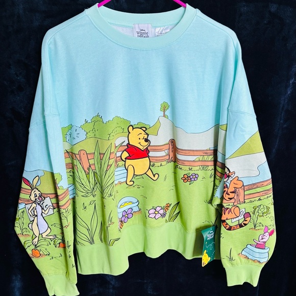 Disney Winnie the Pooh Sweatshirt - Blue and Green NWT size M - Picture 1 of 16